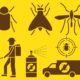 controle-pragas-urbanas