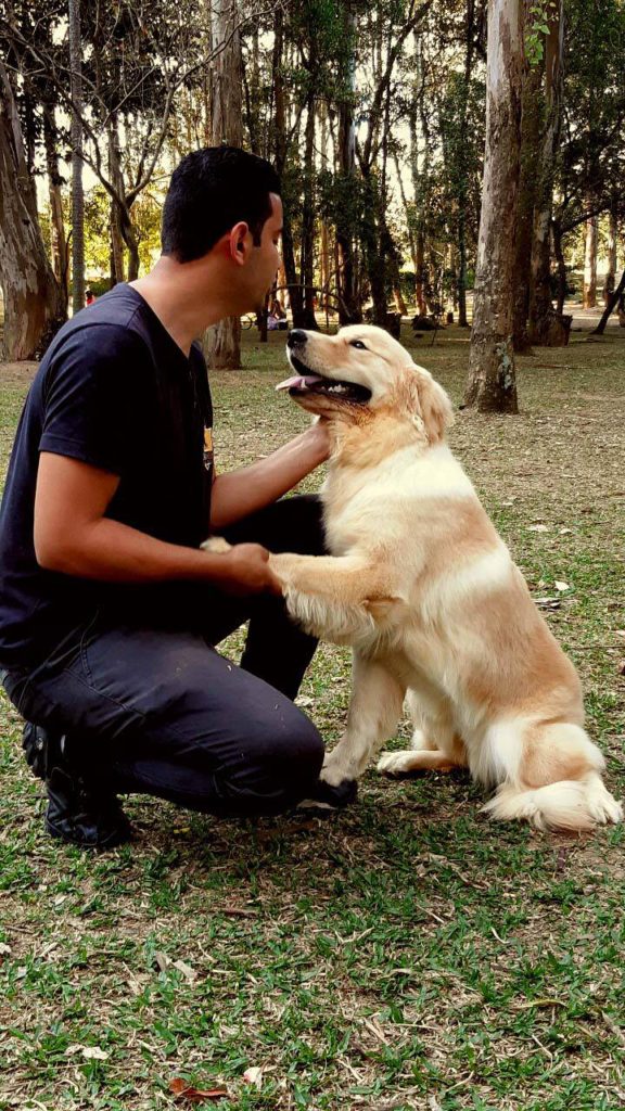 Adestrador com um Cão