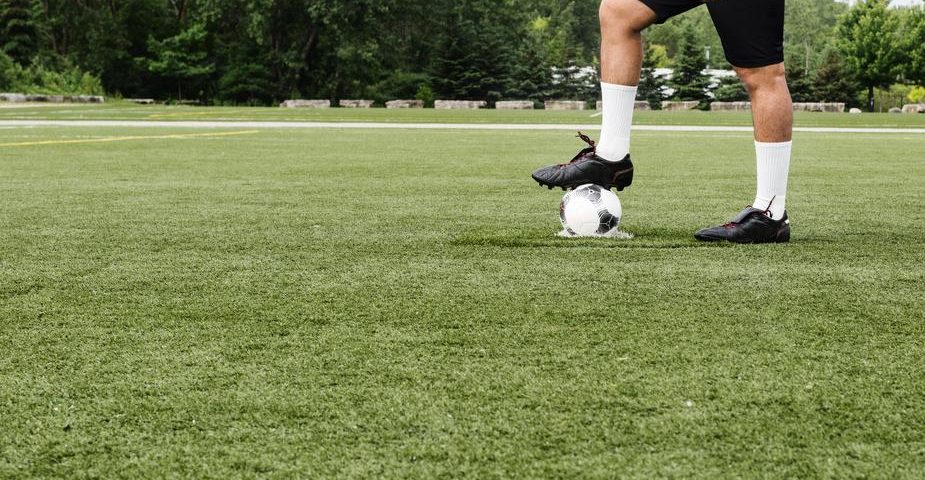 Grama para paisagismo