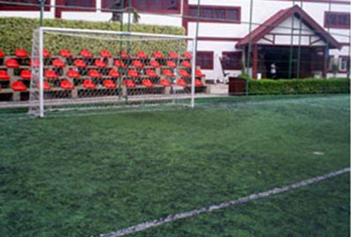 Construção de Campo de Grama Sintética