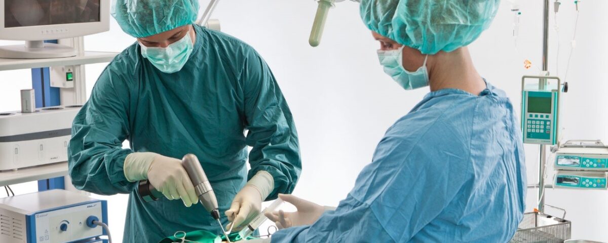 Ortopedista Veterinário