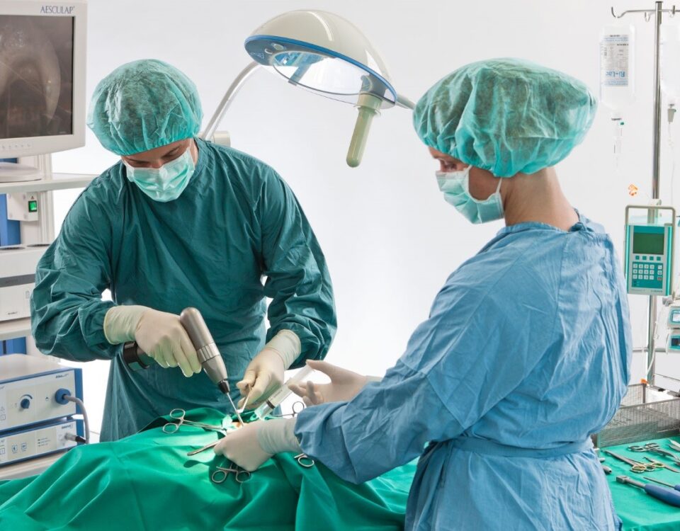 Ortopedista Veterinário