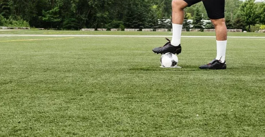 Grama para Paisagismo
