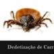 Dedetização de Carrapatos