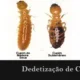 Dedetização de Cupins