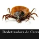 Dedetizadora de Carrapatos