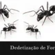 Dedetizadora de Formigas