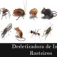 Dedetizadora de Insetos Rasteiros