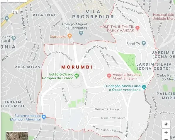 Serviço de dedetizadora no Morumbi