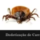 Dedetização de Carrapatos