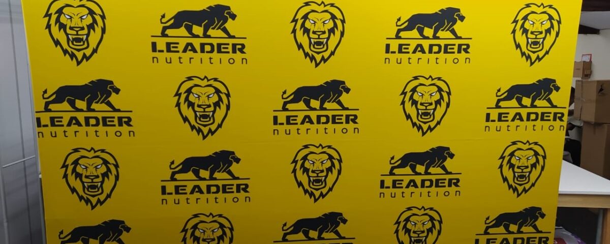 Painel Backdrop Desmontável Preço