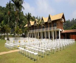 Cadeiras para Festas