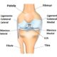 Cirurgião especialista em joelho