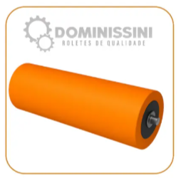 Roletes para transportador