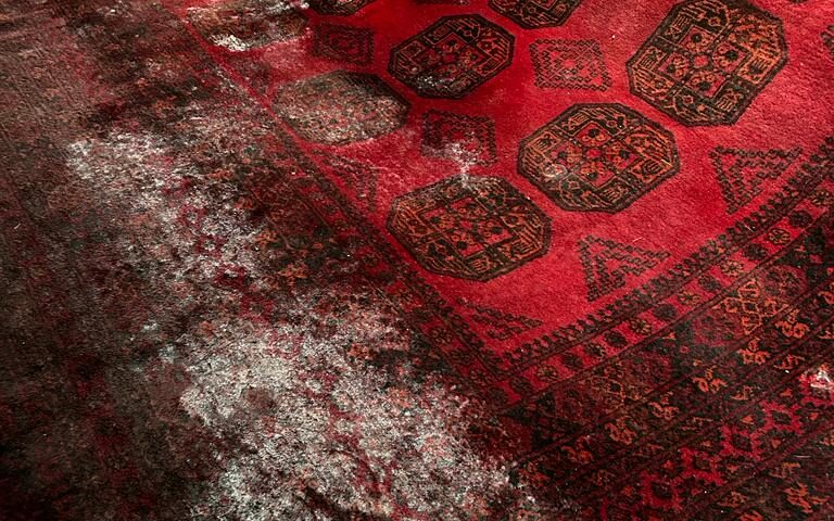 Lavagem de Tapetes na Zona Norte