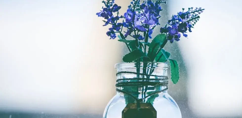 Aromaterapia com Óleos Essenciais