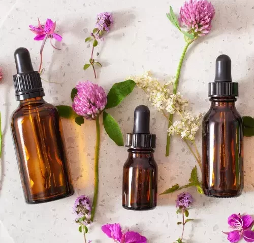 Como Funcionam os Florais de Bach