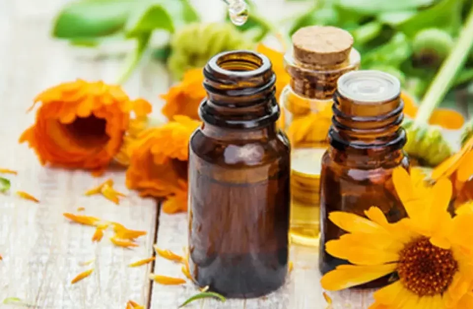 Como Usar Florais de Bach