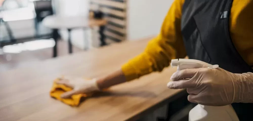 empresa-de-diaristas-no-centro-01