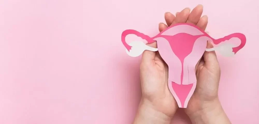 Especialistas em Endometriose