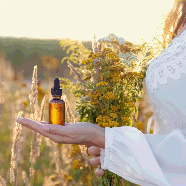 Florais de Bach para Que Serve