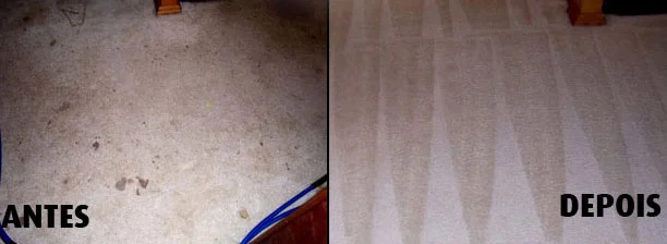Lavagem de carpetes em Osasco