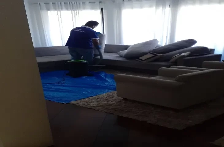 Limpeza de sofás em Guarulhos