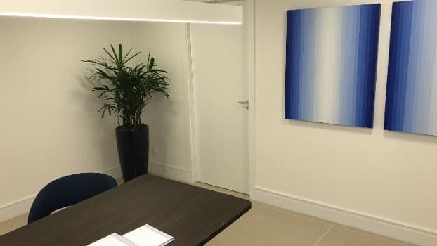 medico ginecologista obstetra em sp