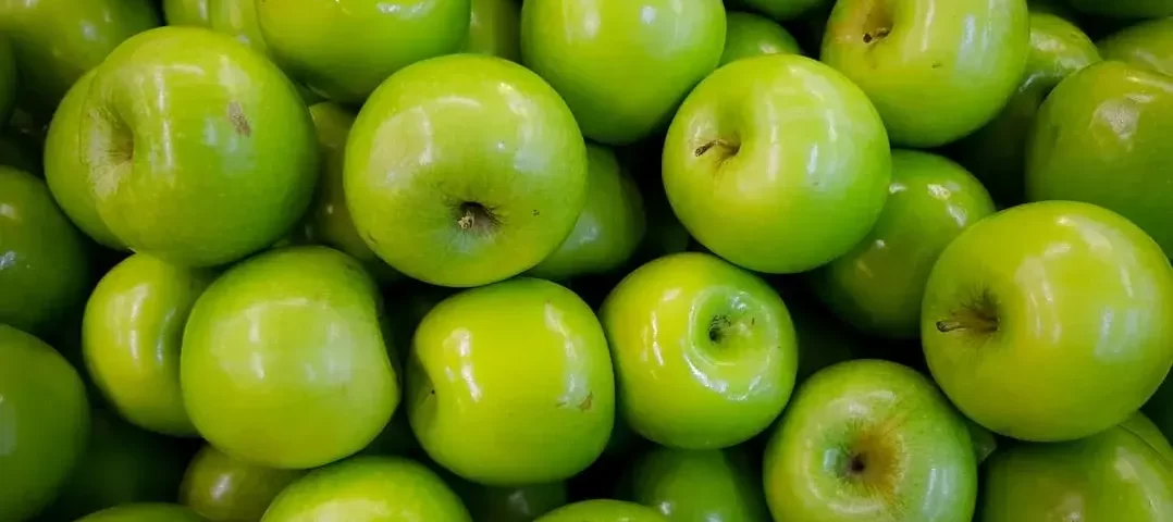 Nutrição para Obesidade em Guarulhos