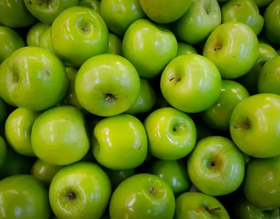 Nutrição para Obesidade em Guarulhos