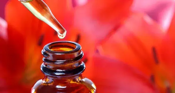 Terapia com Florais Como Funciona