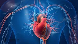 Clínica Especialista em Cardio Oncologia