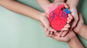 Clínica Especialista em Cardiopatia