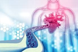 Médico Especializado em Hipertensão