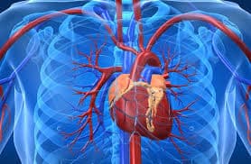 Tratamento para Cardio Oncologia