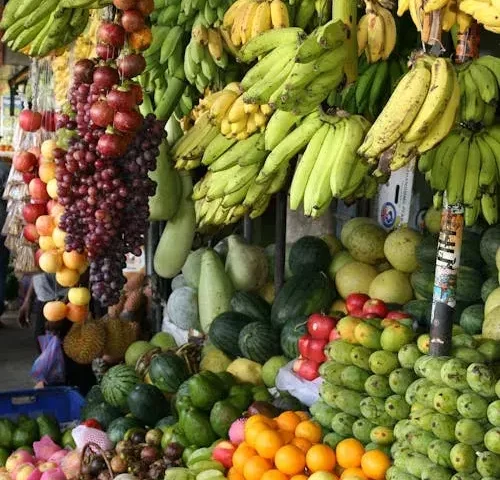 Nutrição para Controle de Peso em Guarulhos