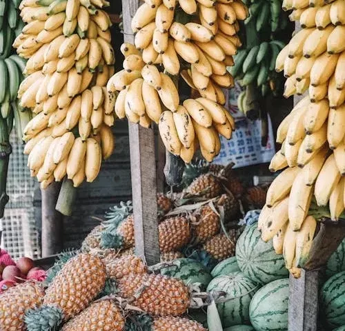 Nutrição para Emagrecimento em Guarulhos