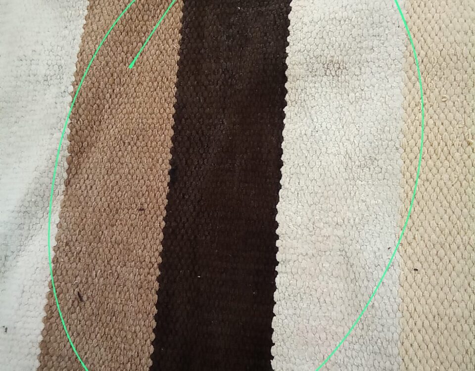 Higienização de tapetes a seco