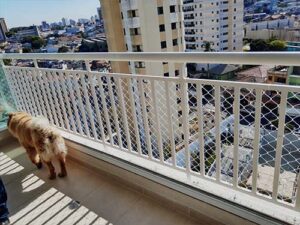 Tela de segurança para criança na zona leste