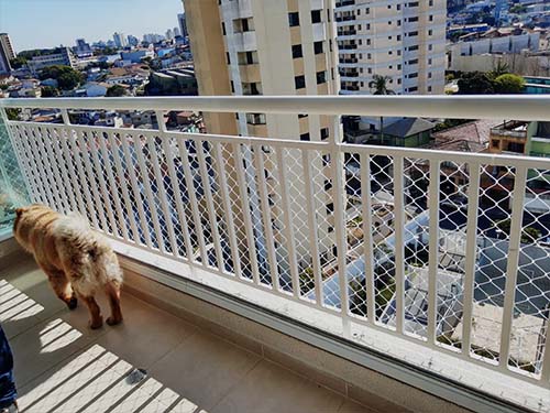 Tela de segurança para criança na zona leste