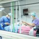 Cirurgia em Gatos
