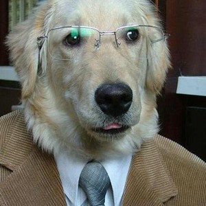 Veterinario Emergencia