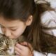 Insuficiencia Renal em Gatos