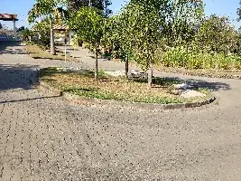 Piso Intertravado em São Paulo
