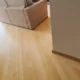 Raspador de Assoalho